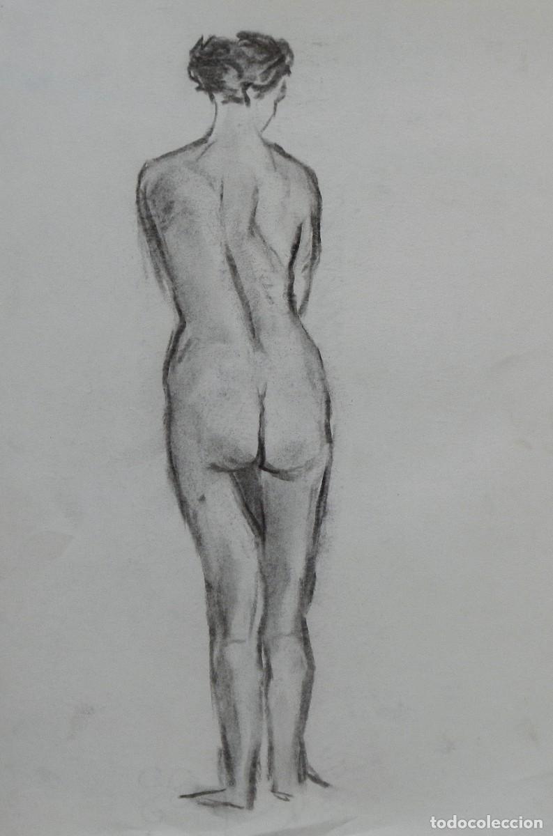 Arte: Manuel Vicente Mora. Carboncillo sobre papel. &rdquo;Desnudo femenino&rdquo;. Sin firmar. 31x22 cm.