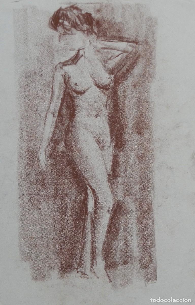Arte: Manuel Vicente Mora. Carboncillo sobre papel. &rdquo;Desnudo femenino&rdquo;. Sin firmar. 31x22 cm.
