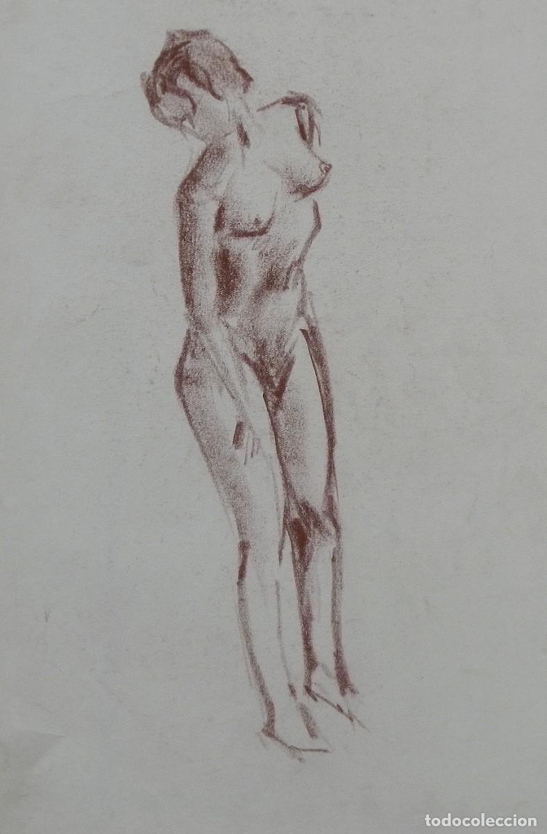 Arte: Manuel Vicente Mora. Carboncillo sobre papel. &rdquo;Desnudo femenino&rdquo;. Sin firmar. 31x22 cm.