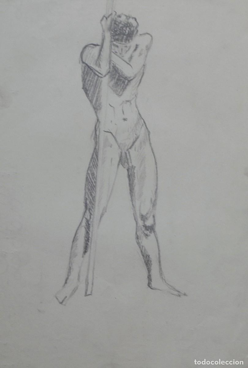 Arte: Manuel Vicente Mora. Carboncillo sobre papel. &rdquo;Desnudo masculino&rdquo;. Sin firmar. 31x22 cm.