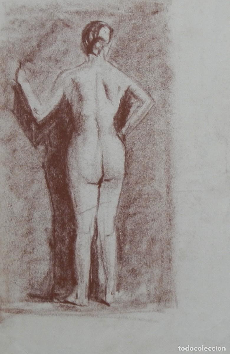Arte: Manuel Vicente Mora. Carboncillo sobre papel. &rdquo;Desnudo femenino&rdquo;. Sin firmar. 31x22 cm.