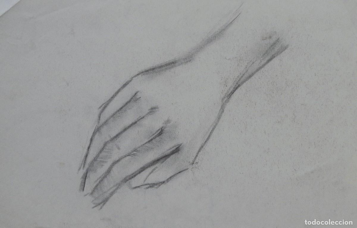 Arte: Manuel Vicente Mora. Carboncillo sobre papel. &rdquo;Una mano&rdquo;. Firmado a mano. 31x22 cm.