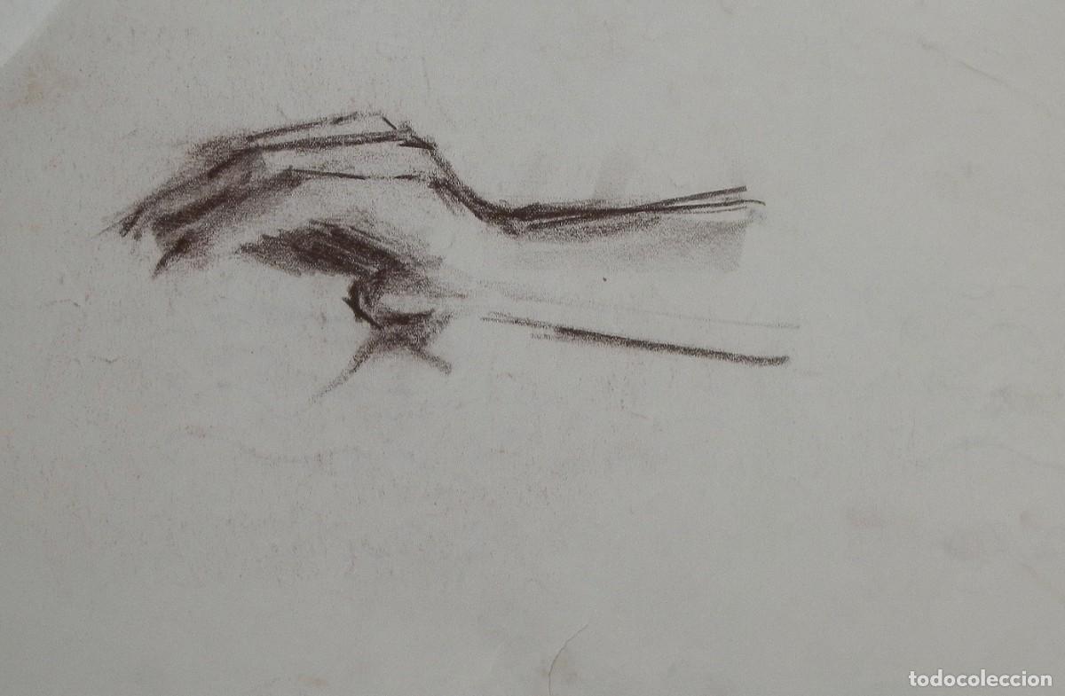 Arte: Manuel Vicente Mora. Carboncillo sobre papel. &rdquo;Una mano&rdquo;. Firmado a mano. 31x22 cm.
