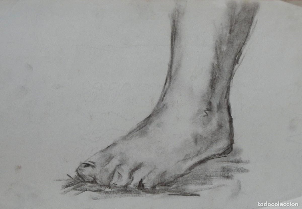 Arte: Manuel Vicente Mora. Carboncillo sobre papel. &rdquo;Un pie&rdquo;. Firmado a mano. 31x22 cm.
