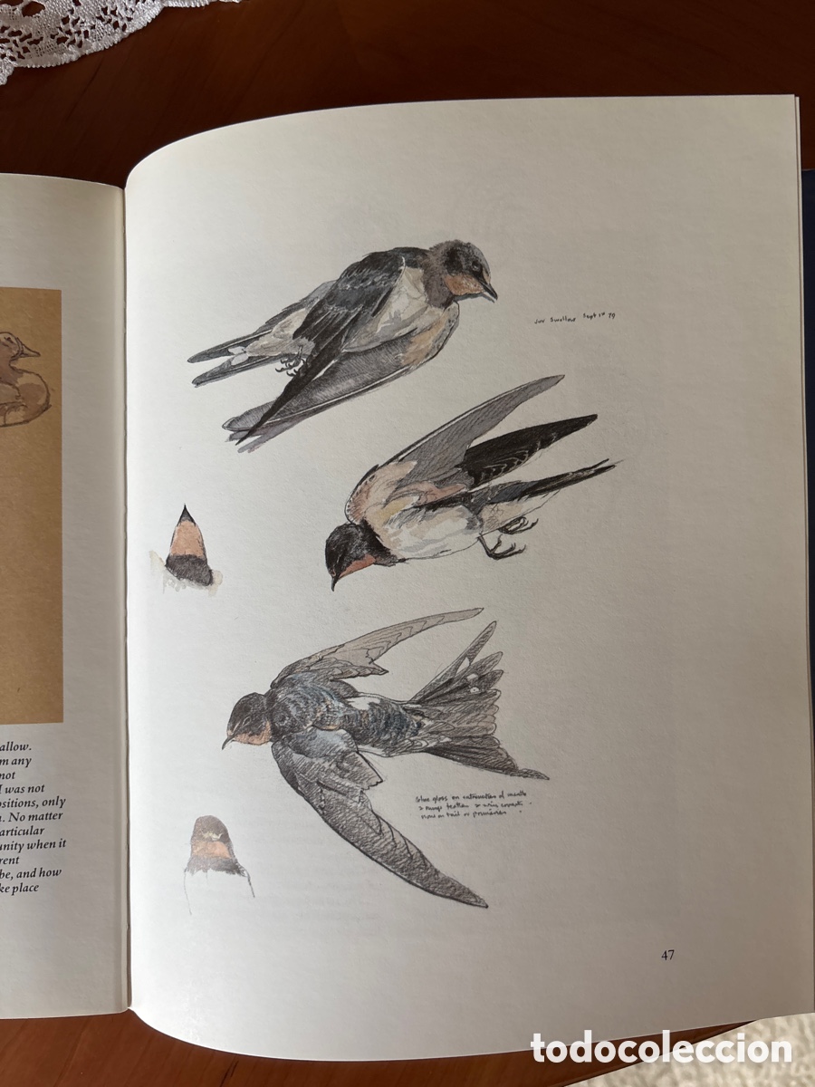 Arte: Drawing Birds. John Busby - Foto 2