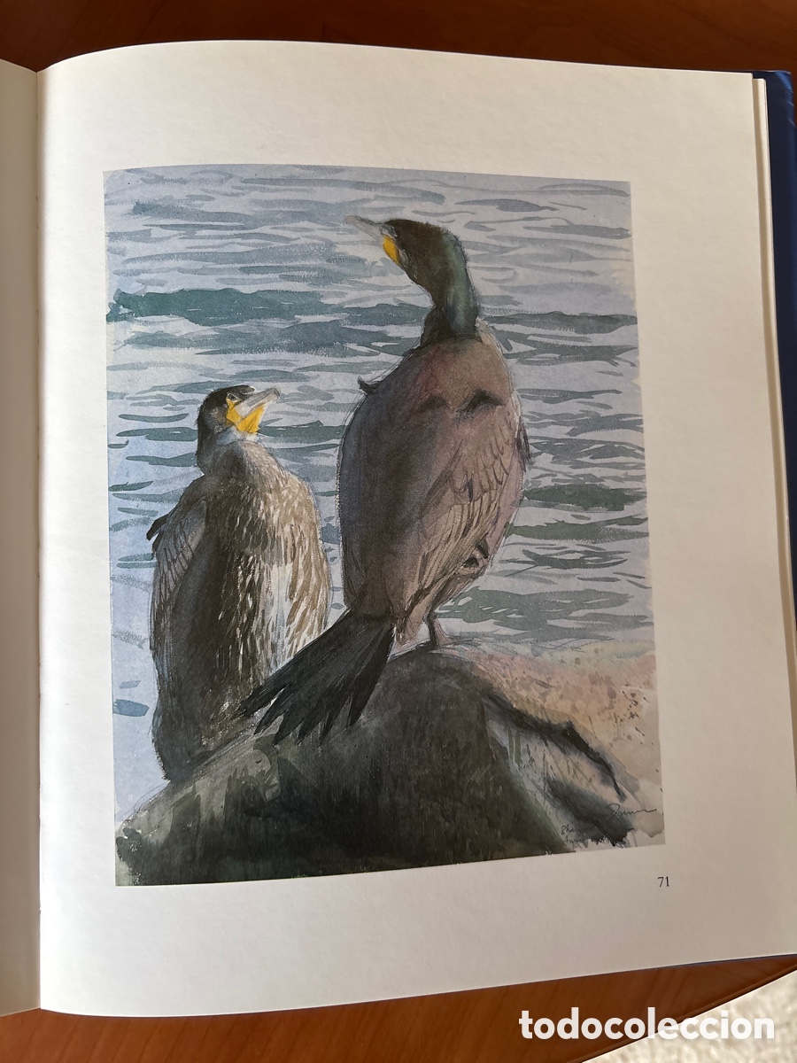 Arte: Drawing Birds. John Busby - Foto 3