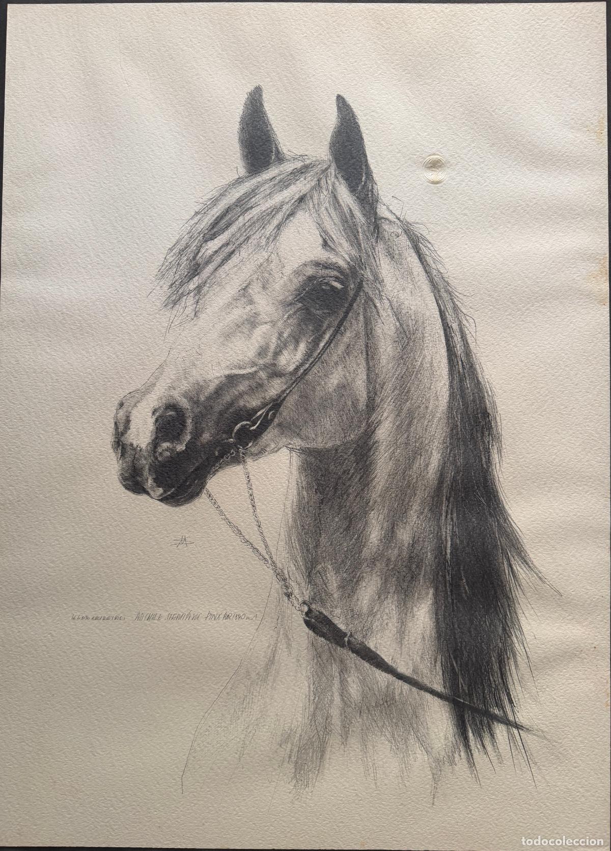 Arte: Mieczysław Siemiński, Świerki, Polonia . dibujo original de caballo pura raza