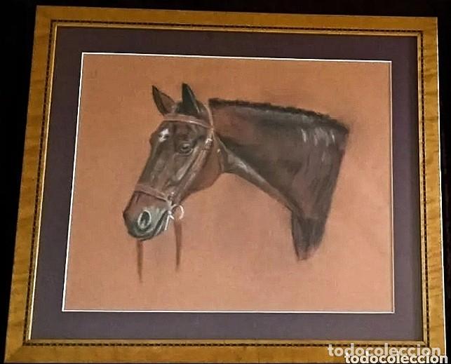 Arte: DIBUJO al PASTEL / (HIPERREALISMO). * CABEZA DE CABALLO *. FIRMADO: LUISA A... A&ntilde;o 1990 (S. XX)