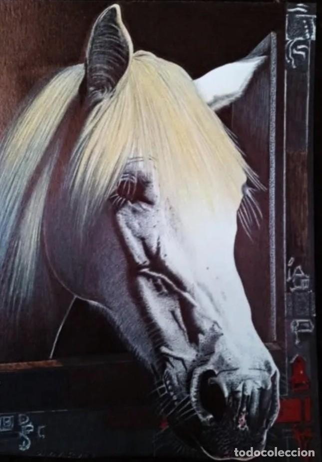 Arte: DIBUJO HIPERREALISTA / *CABALLO/ESTUDIO DE CABEZA*. (TM). De D. NAVASCU&Eacute;S. (Con VALORACI&Oacute;N CR&Iacute;TICA)