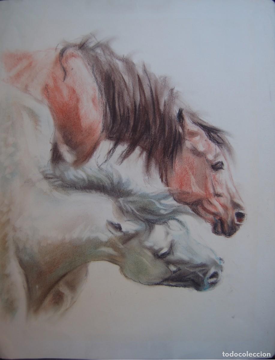 Arte: Pareja de caballos. Pintura al pastel sobre papel. 46 cm x 38 cm.