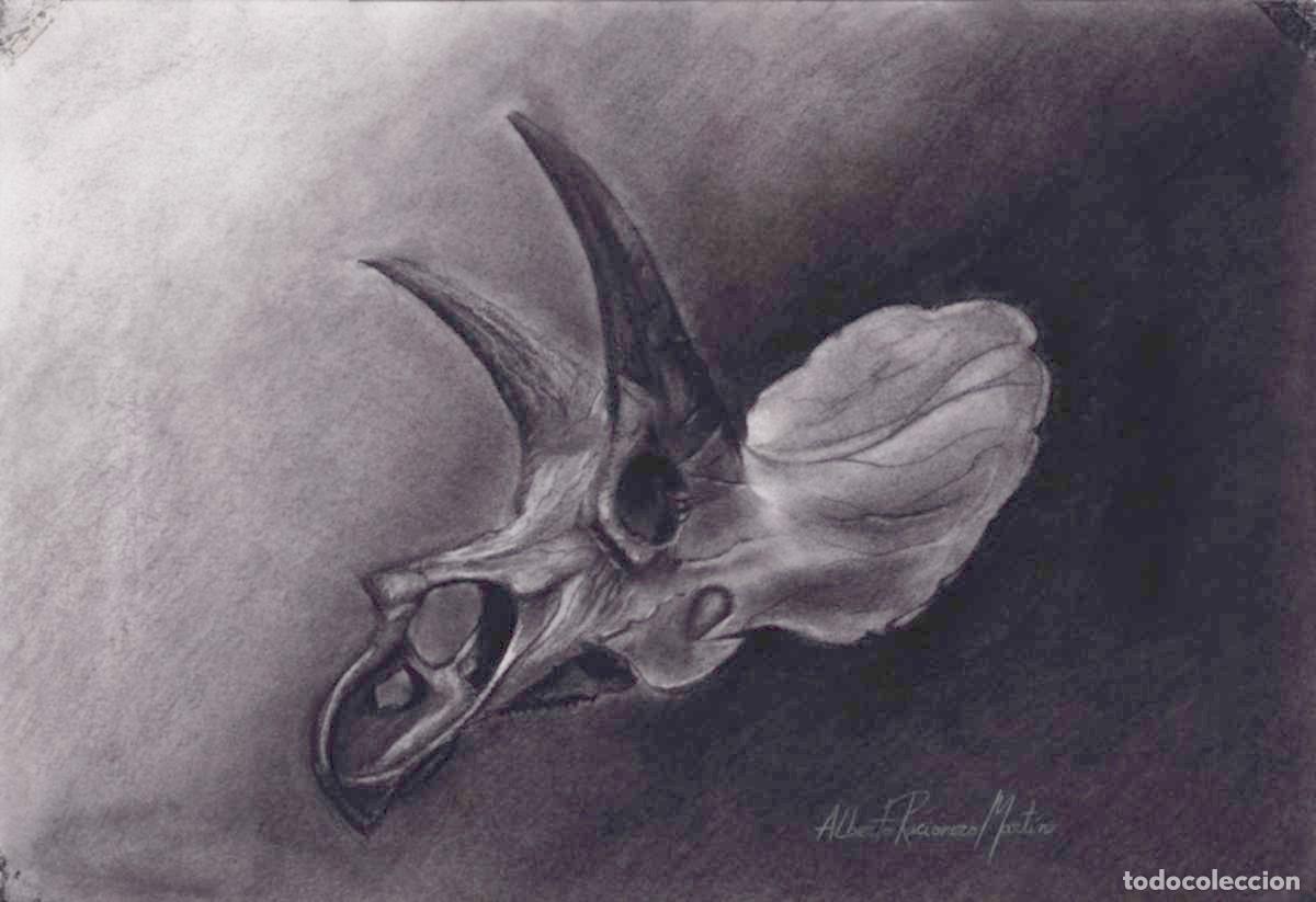 Arte: Dibujo original Triceratops