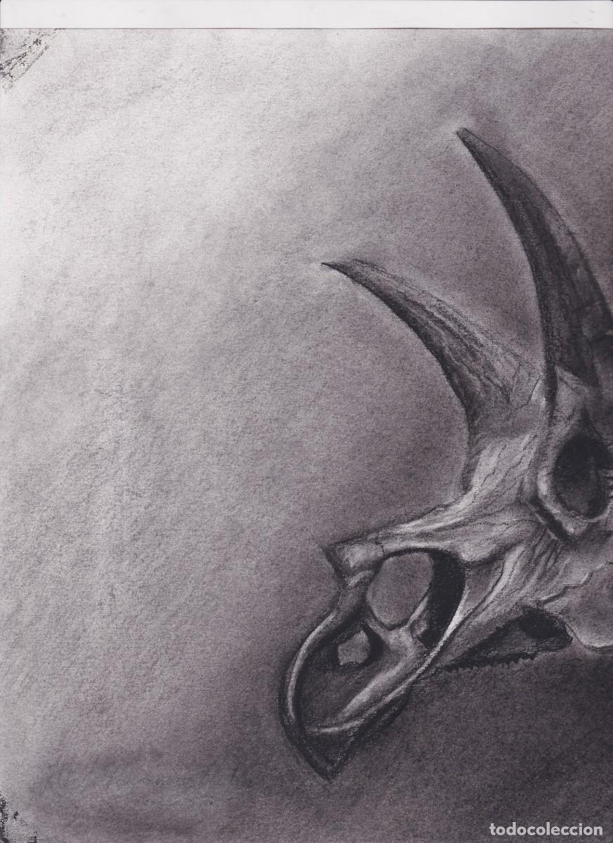 Arte: Dibujo original Triceratops - Foto 2