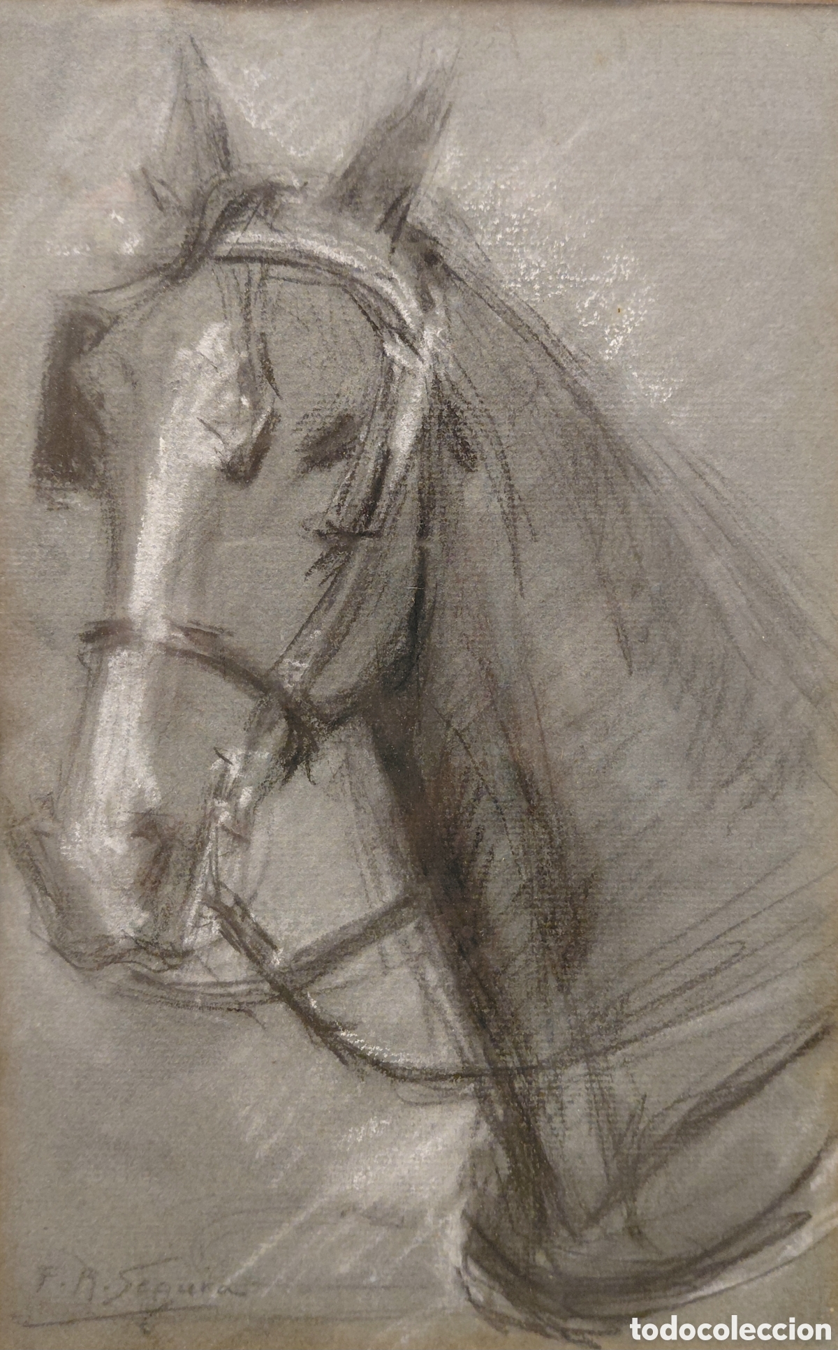 Art: Francisco Rafael Segura Montforte (1875-1954). Ilustraci&oacute;n de caballo, creta sobre papel.