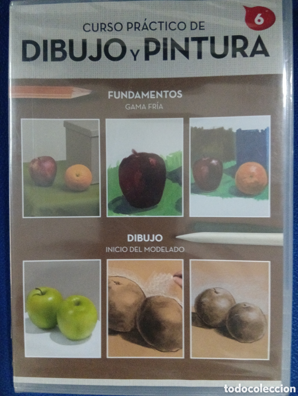 Arte: Curso pr&aacute;ctico de Dibujo y pintura. Fundamentos. Inicio del modelo. tomo 6