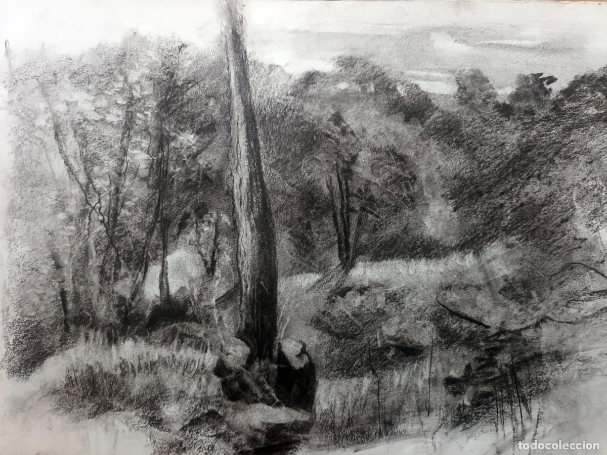 Arte: Dibujo original al carb&oacute;n - Foto 1
