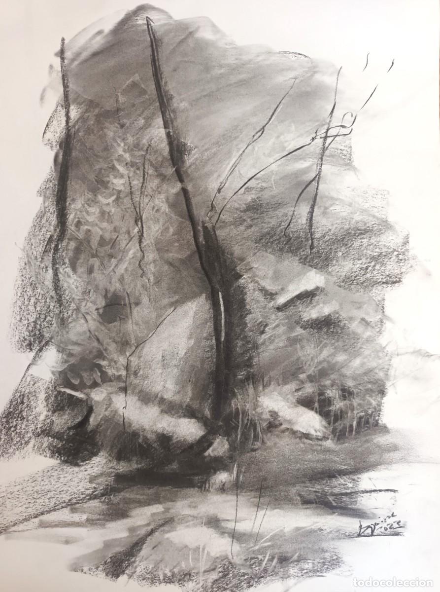 Arte: Dibujo original al carb&oacute;n - Foto 2