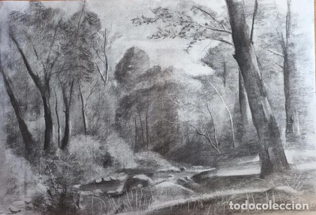 Arte: Dibujo original al carb&oacute;n - Foto 2