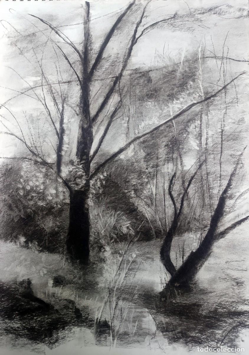 Arte: Dibujo original al carb&oacute;n