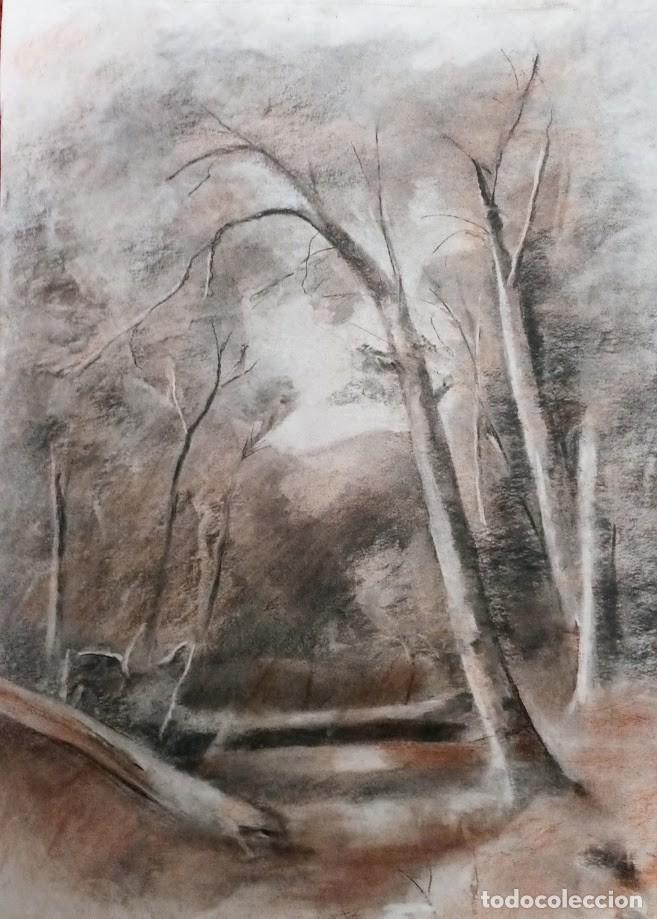 Arte: Dibujo original al carb&oacute;n