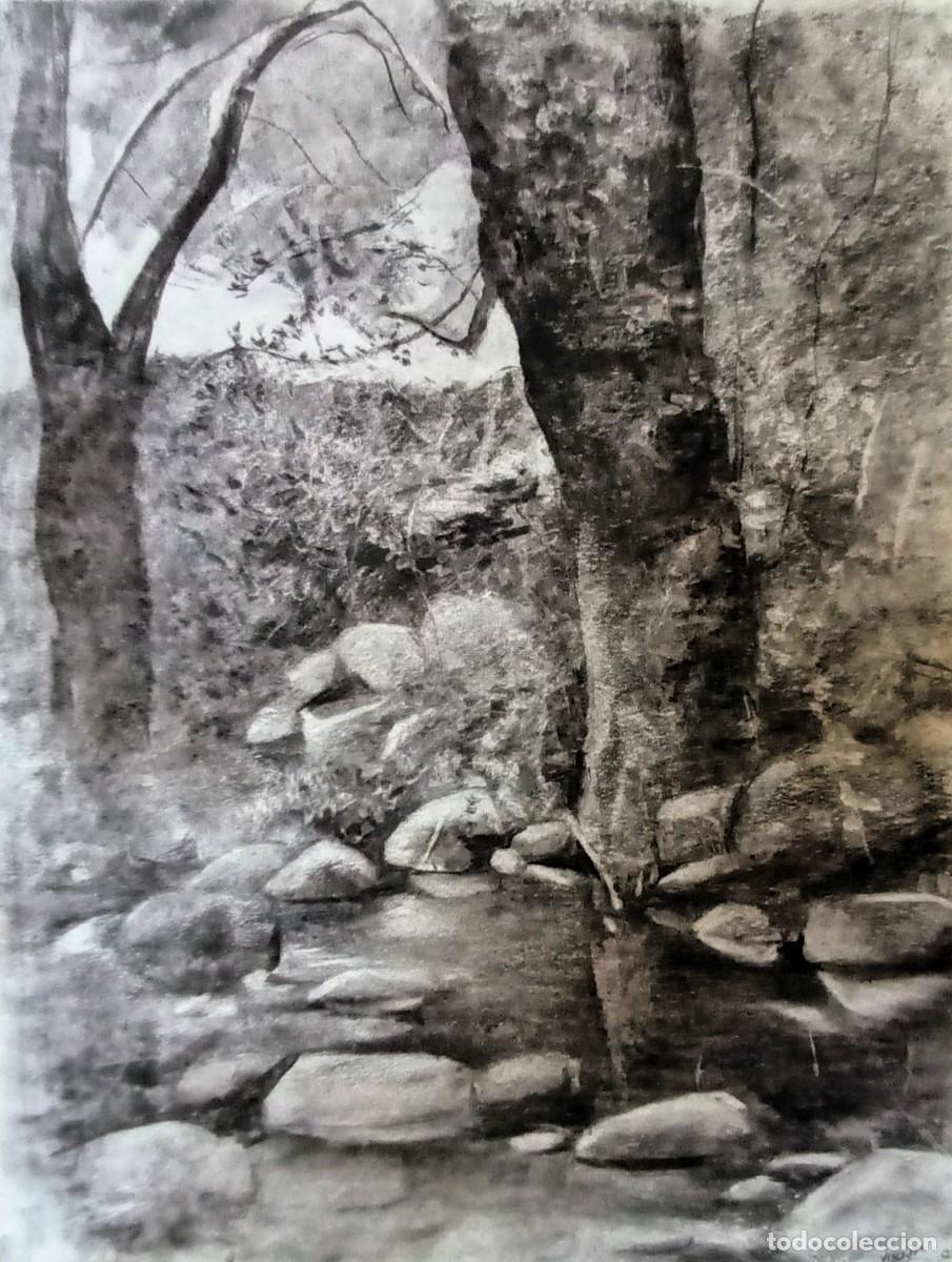 Arte: Dibujo original al carb&oacute;n - Foto 2