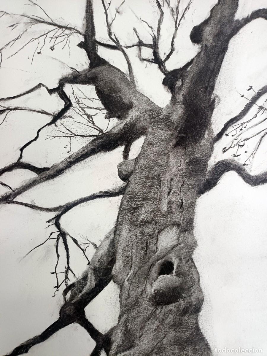Arte: Dibujo original al carb&oacute;n - Foto 2