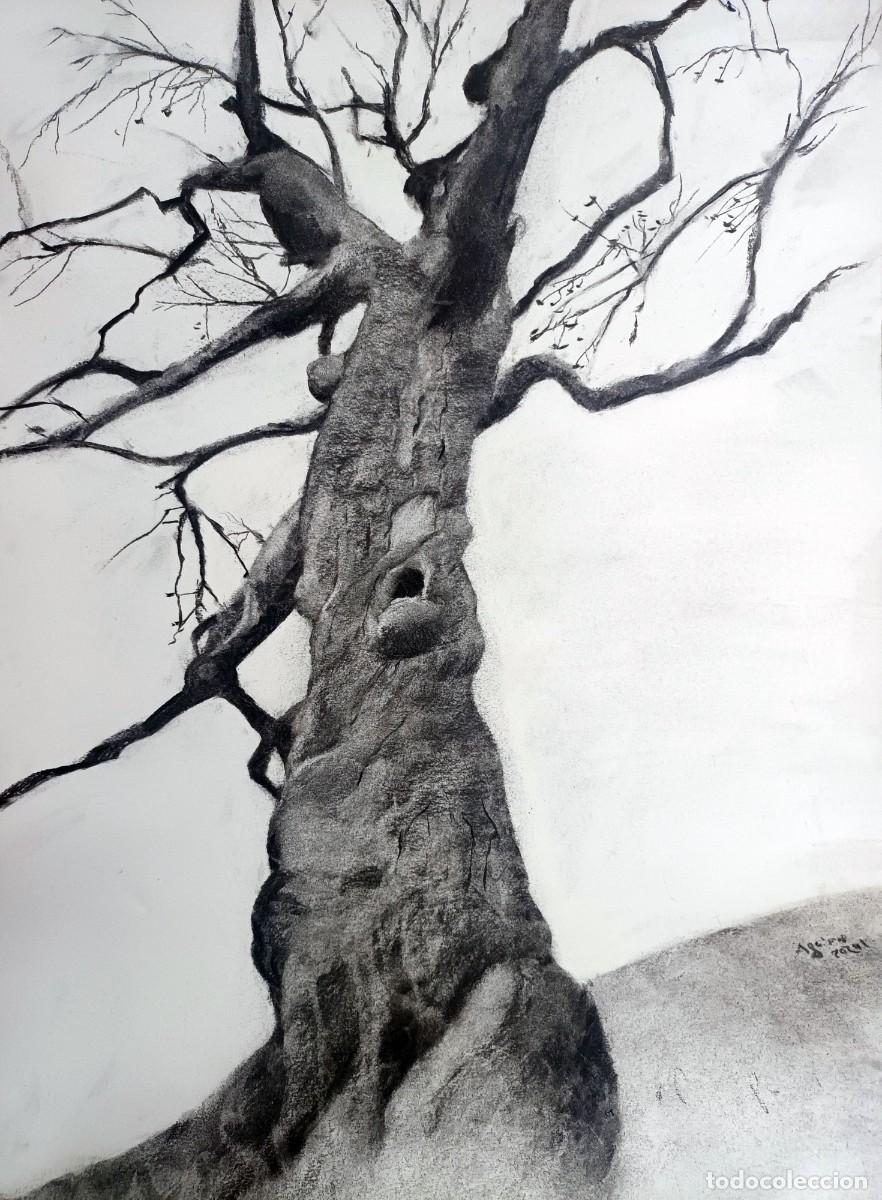 Arte: Dibujo original al carb&oacute;n - Foto 3