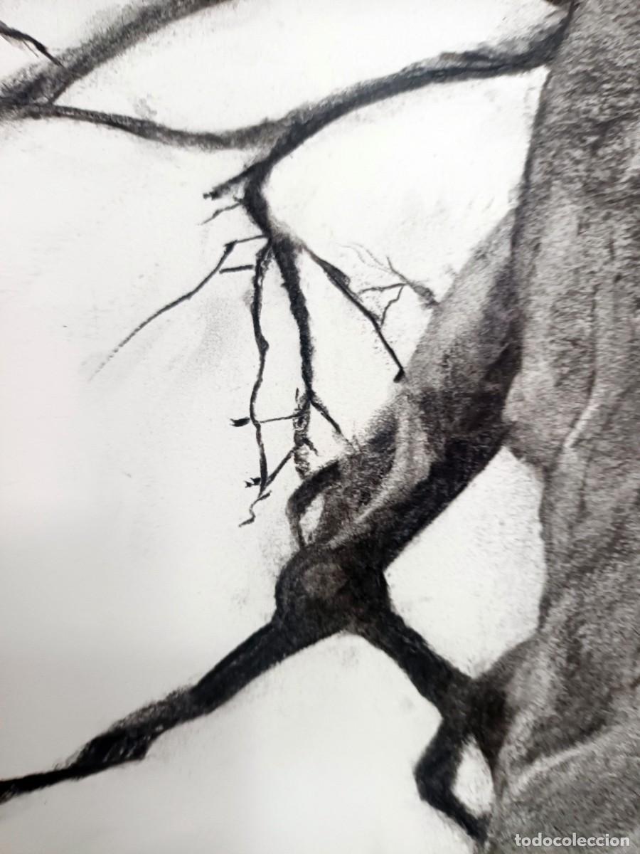 Arte: Dibujo original al carb&oacute;n - Foto 4