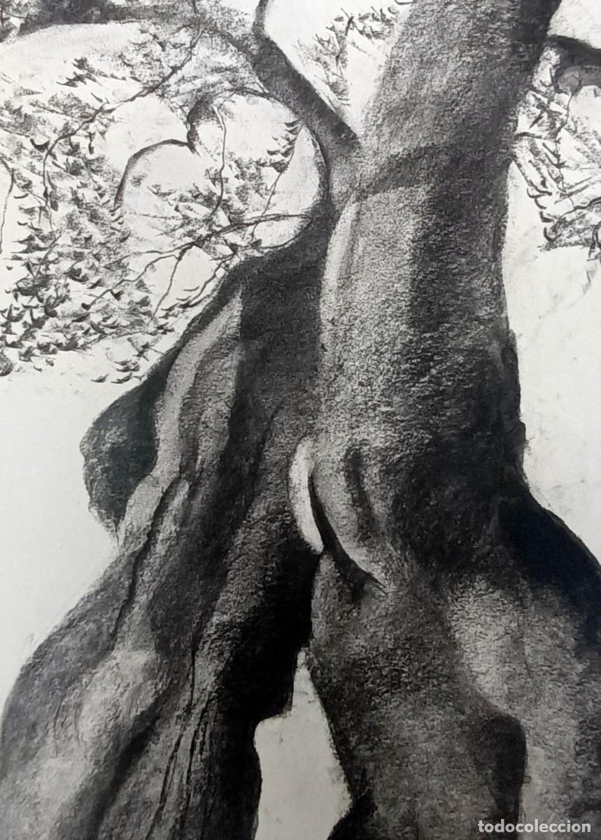 Arte: Dibujo original al carb&oacute;n - Foto 2