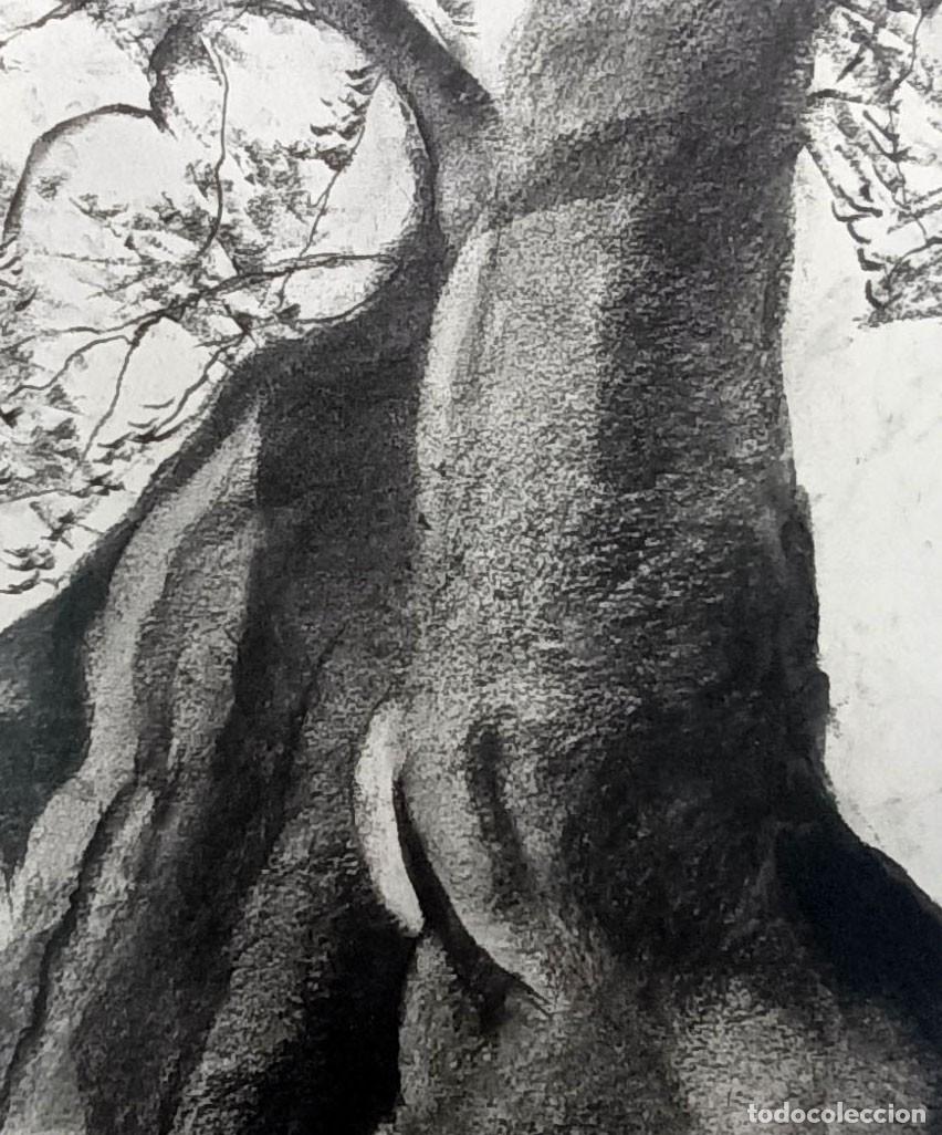 Arte: Dibujo original al carb&oacute;n - Foto 3