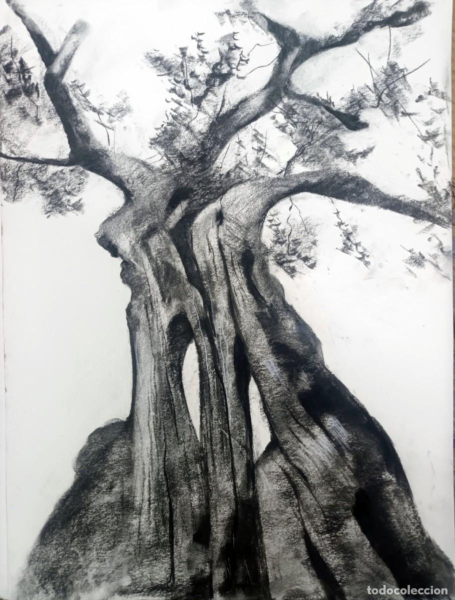 Arte: Dibujo original al carb&oacute;n - Foto 2