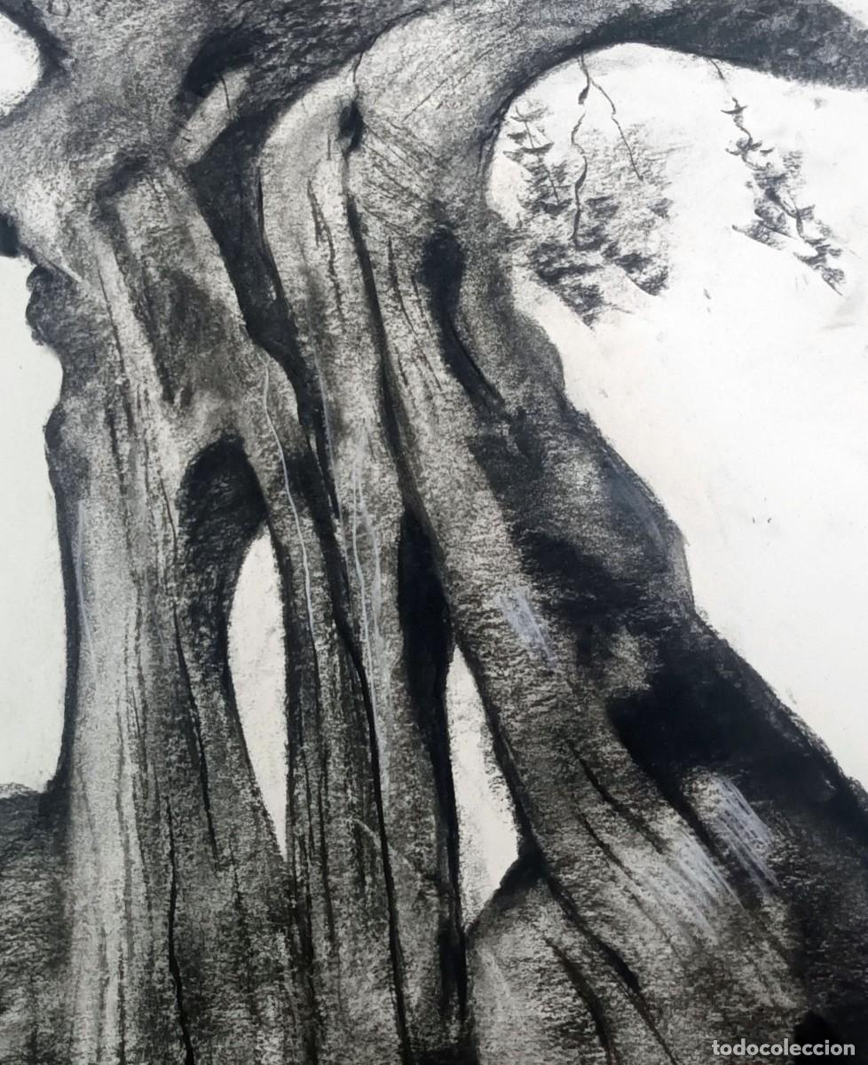 Arte: Dibujo original al carb&oacute;n - Foto 3