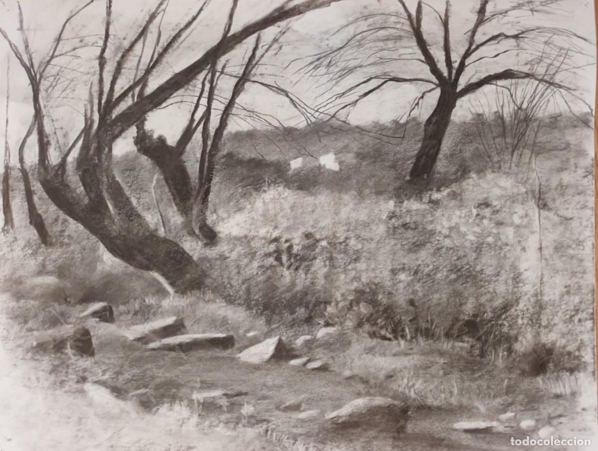 Arte: Dibujo original al carb&oacute;n - Foto 2