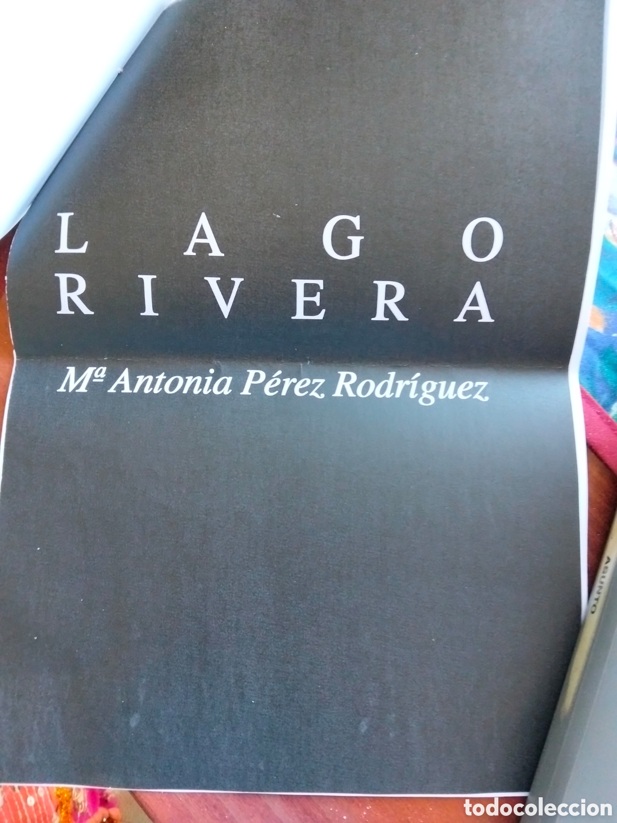 Arte: Lago Rivera. 1977. Dibujo - Foto 3