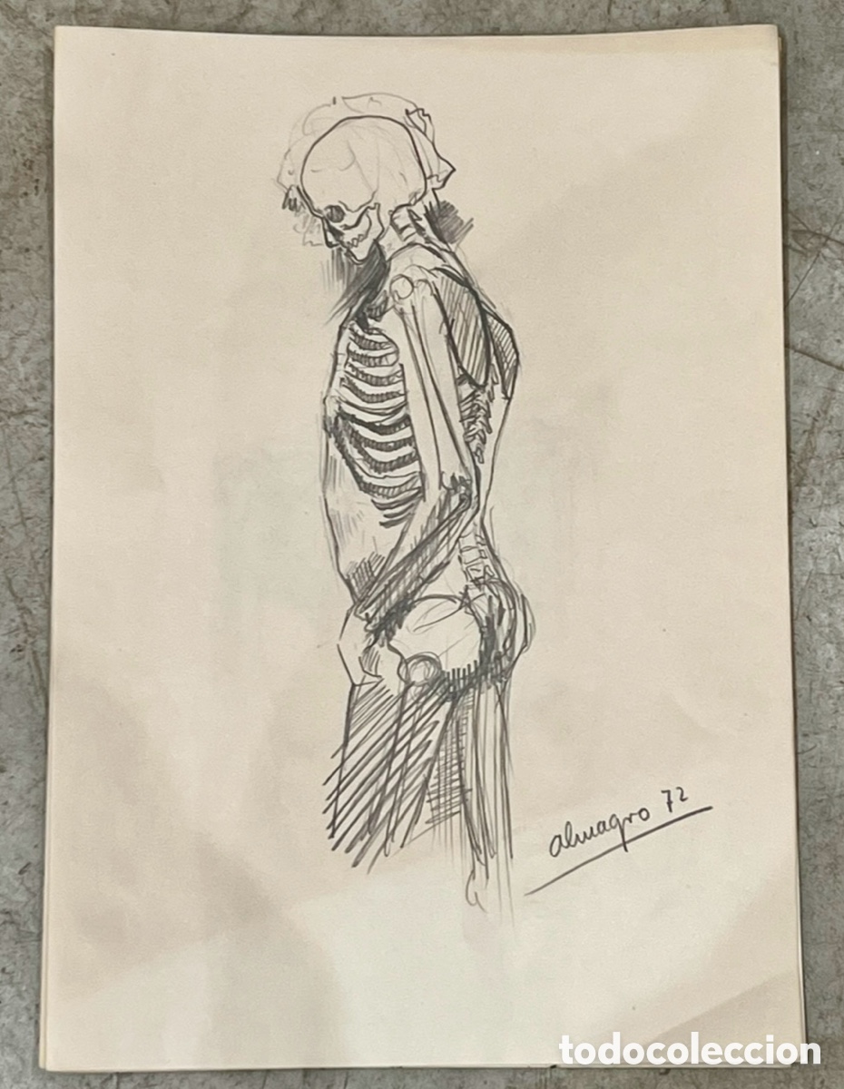 Arte: ALMAGRO, Paco (Alhama de Murcia, 1945). Estudios de Anatom&iacute;a. Dibujo sobre papel. L&aacute;piz. 1972.