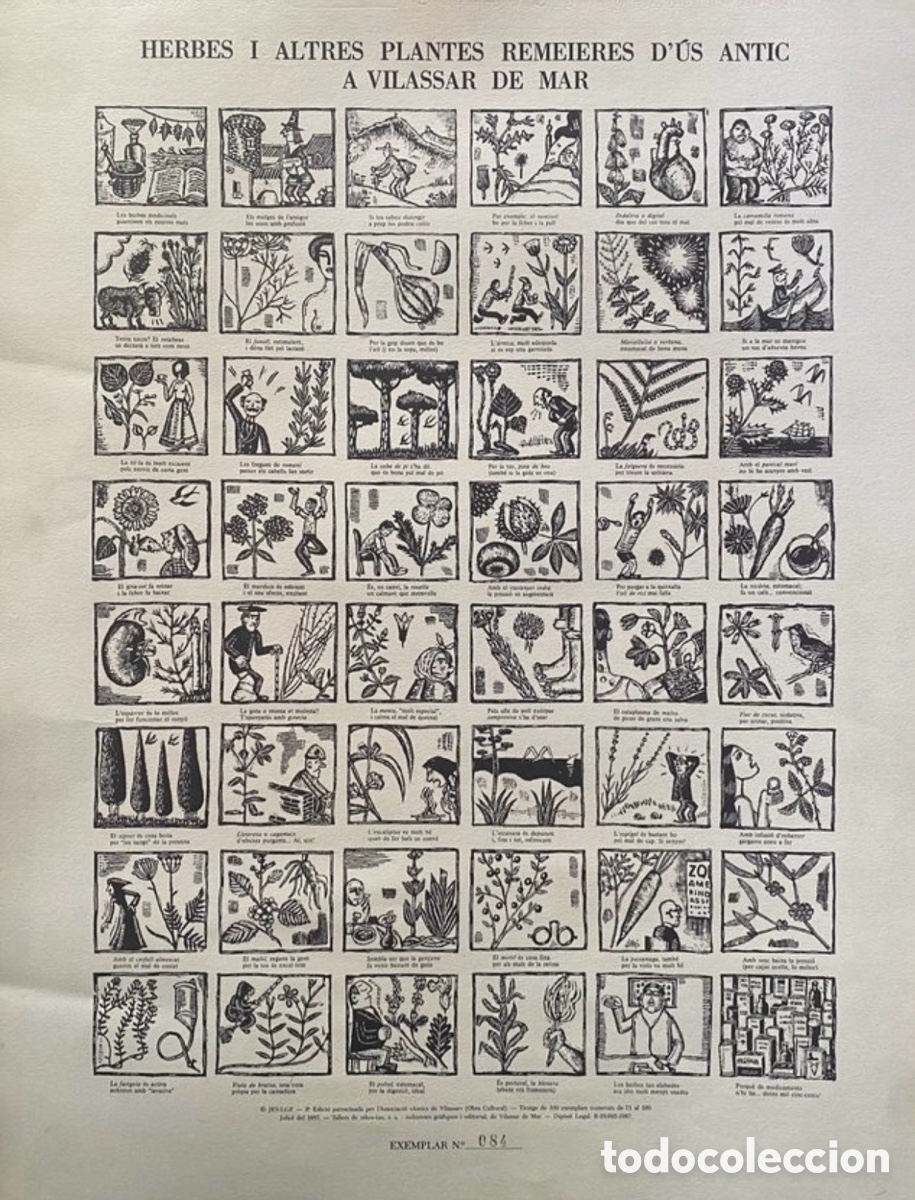 Arte: Auca &ldquo;las plantas curativas&rdquo; Vilassar de Mar / Vintage colecci&oacute;n
