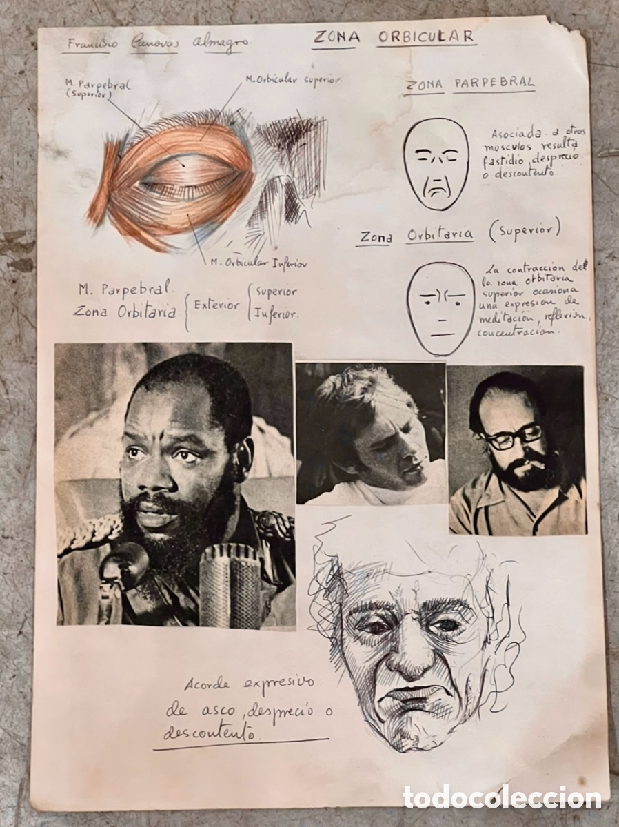 Arte: ALMAGRO, Paco (Alhama de Murcia, 1945). Estudios de Anatom&iacute;a. &Oacute;rbita ocular. Dibujo. 1972.