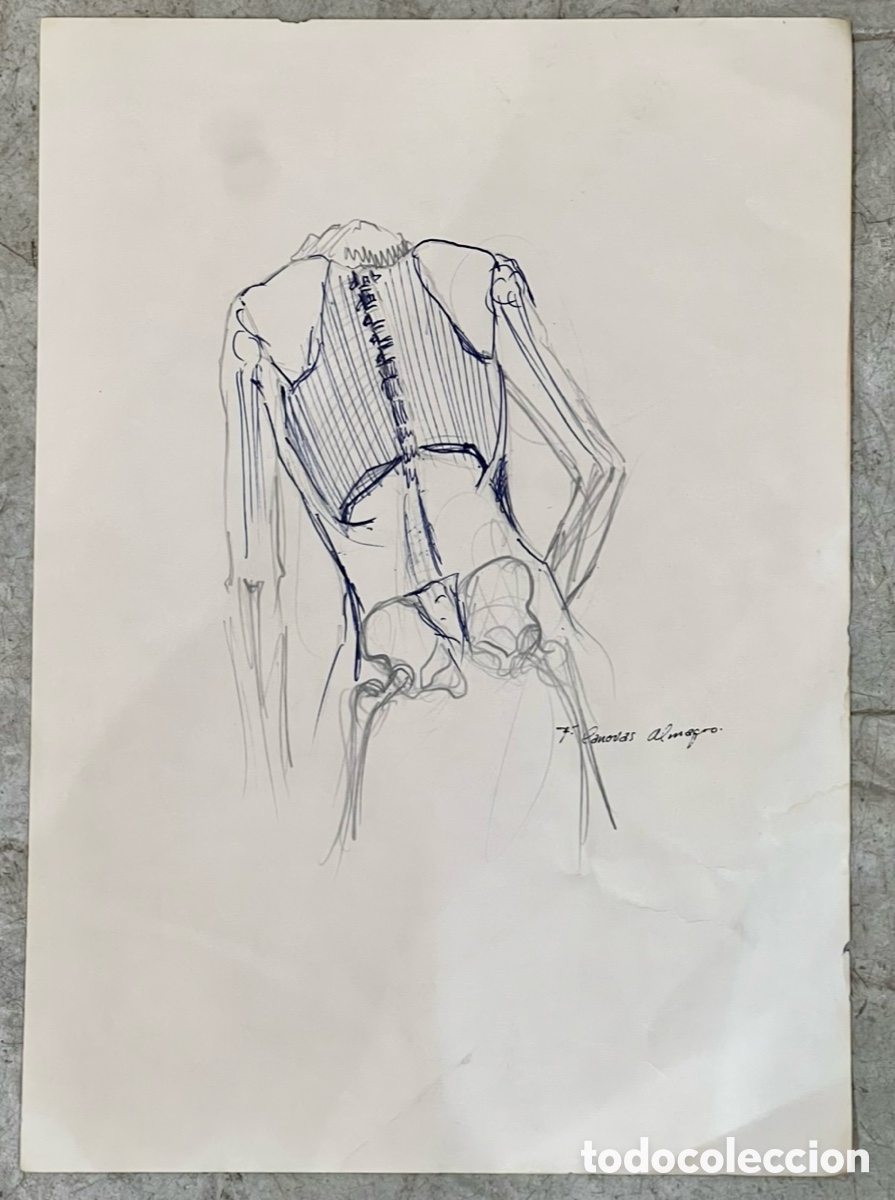 Arte: ALMAGRO, Paco (Alhama de Murcia, 1945). Estudios de Anatom&iacute;a. Espalda. Dibujo sobre papel. A&ntilde;os 70.