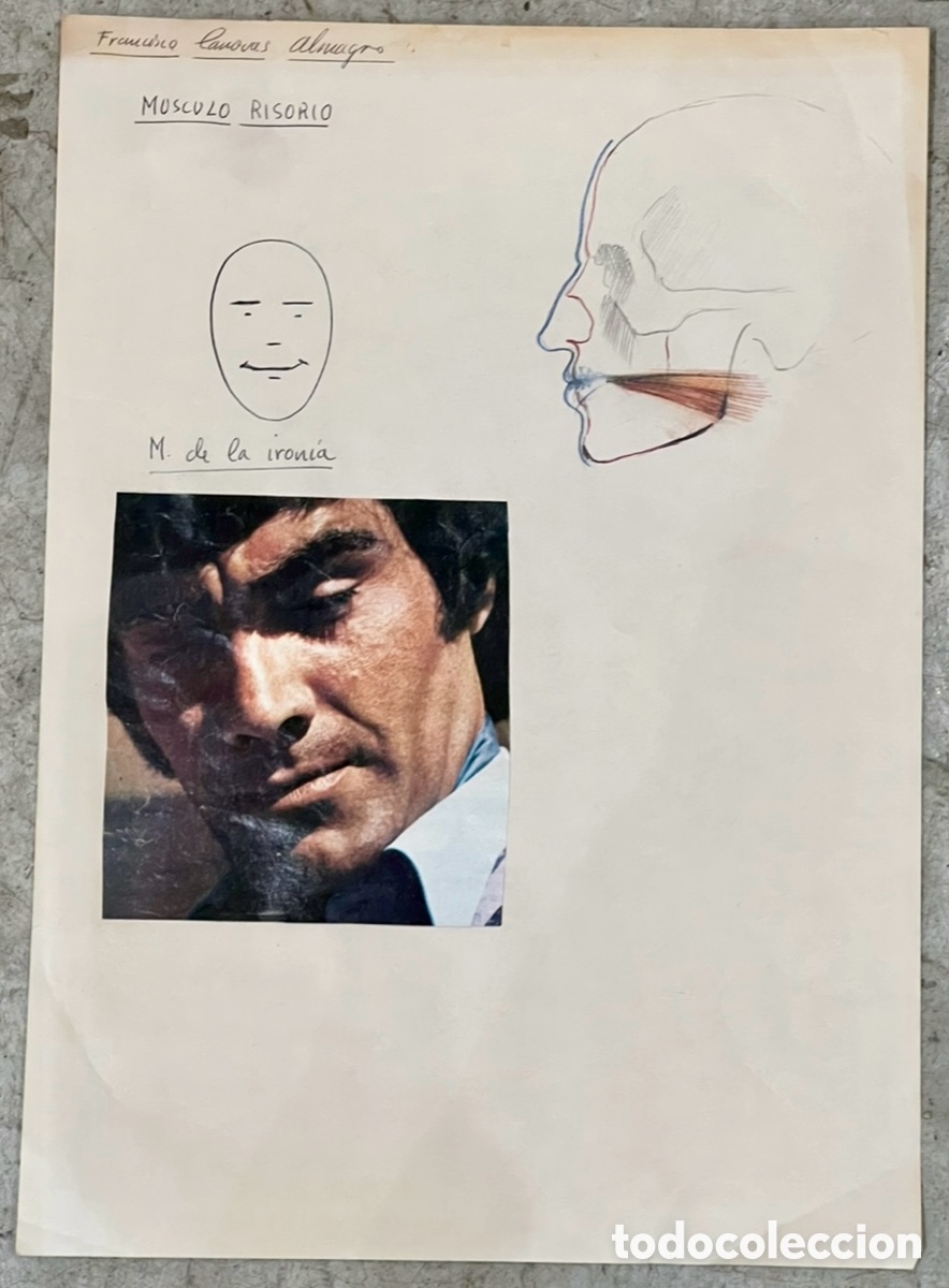 Arte: ALMAGRO, Paco (Alhama de Murcia, 1945). Estudios de Anatom&iacute;a. Cara. Dibujo sobre papel. A&ntilde;os 70.