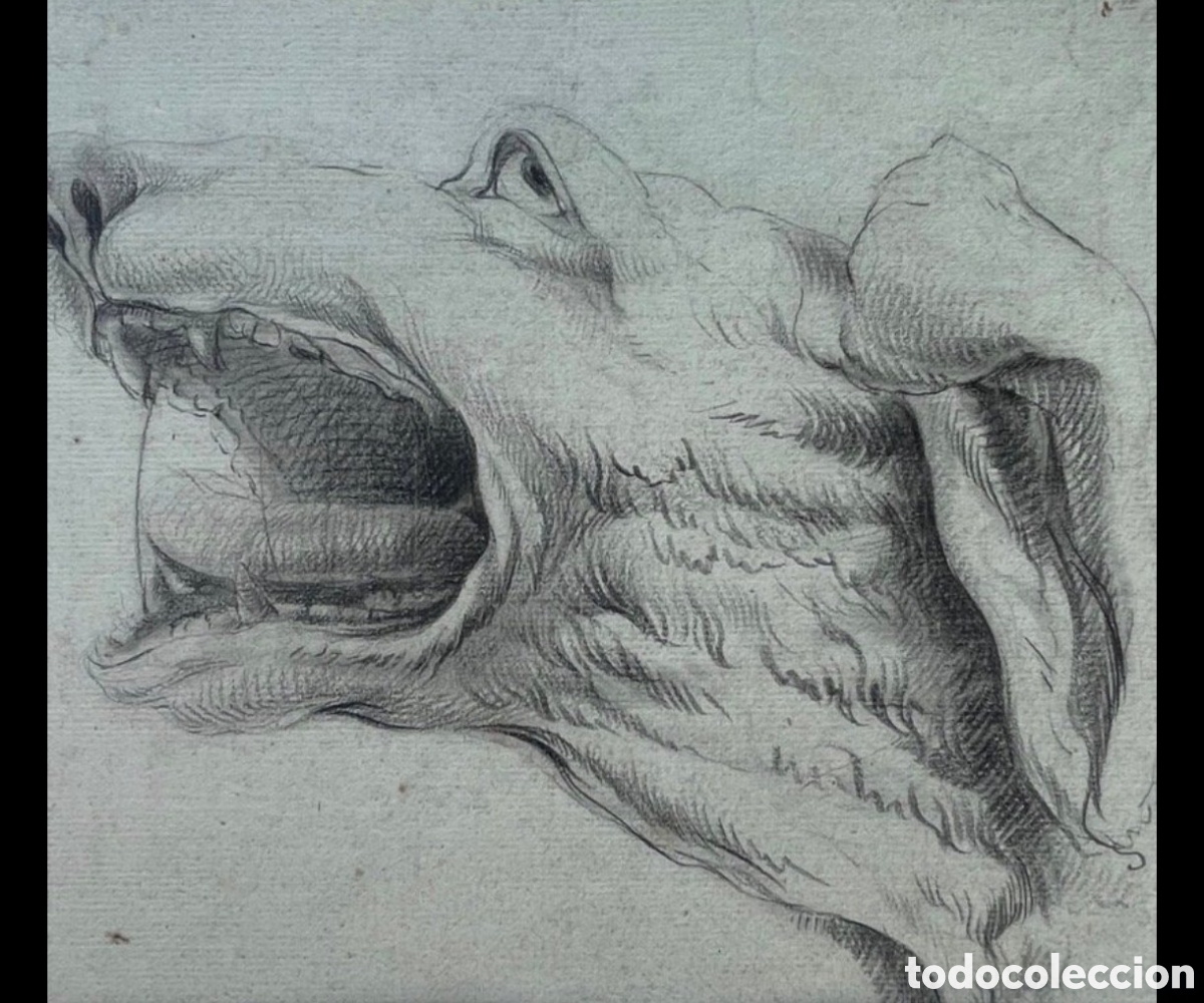 Art: Escuela francesa retrato de cabeza de perro en movimiento