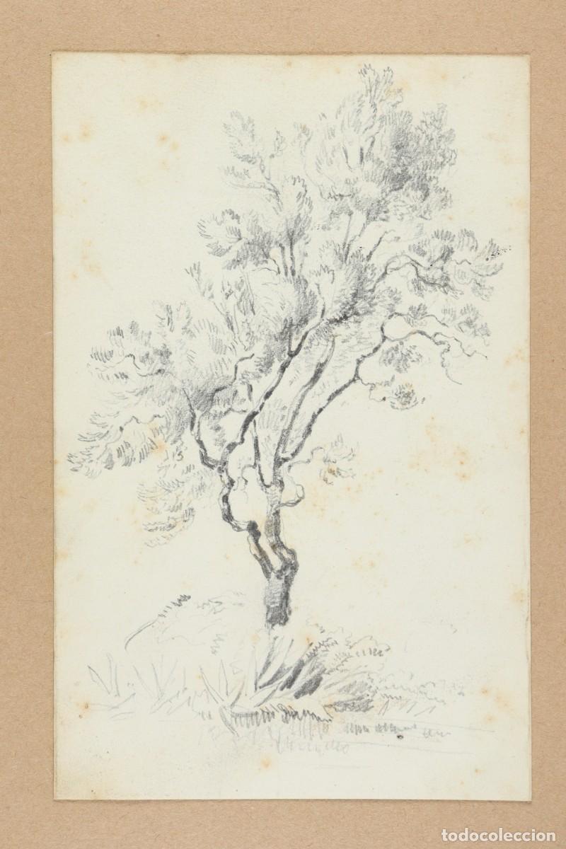 Arte: &Aacute;rbol &Aacute;ngel Fatj&oacute; i Bartra