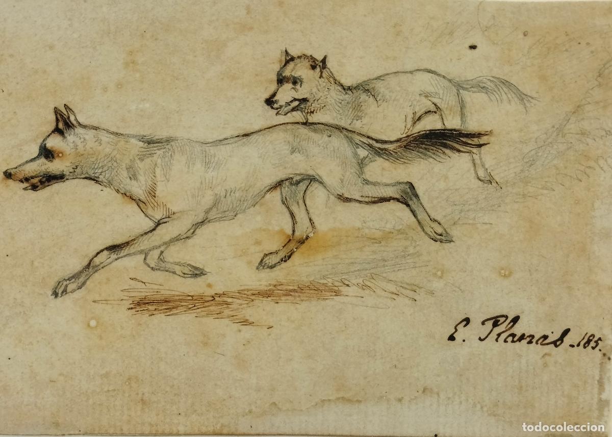 Arte: PAREJA DE PERROS. FIRMADO E. PLANAS. DIBUJO A TINTA SOBRE PAPEL. ESPA&Ntilde;A. CIRCA 1850.