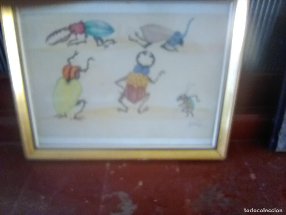 Arte: ANTIGUO MARCO CON DIBUJOS DE INSECTO A COLOR MEDIDA 30 X 39