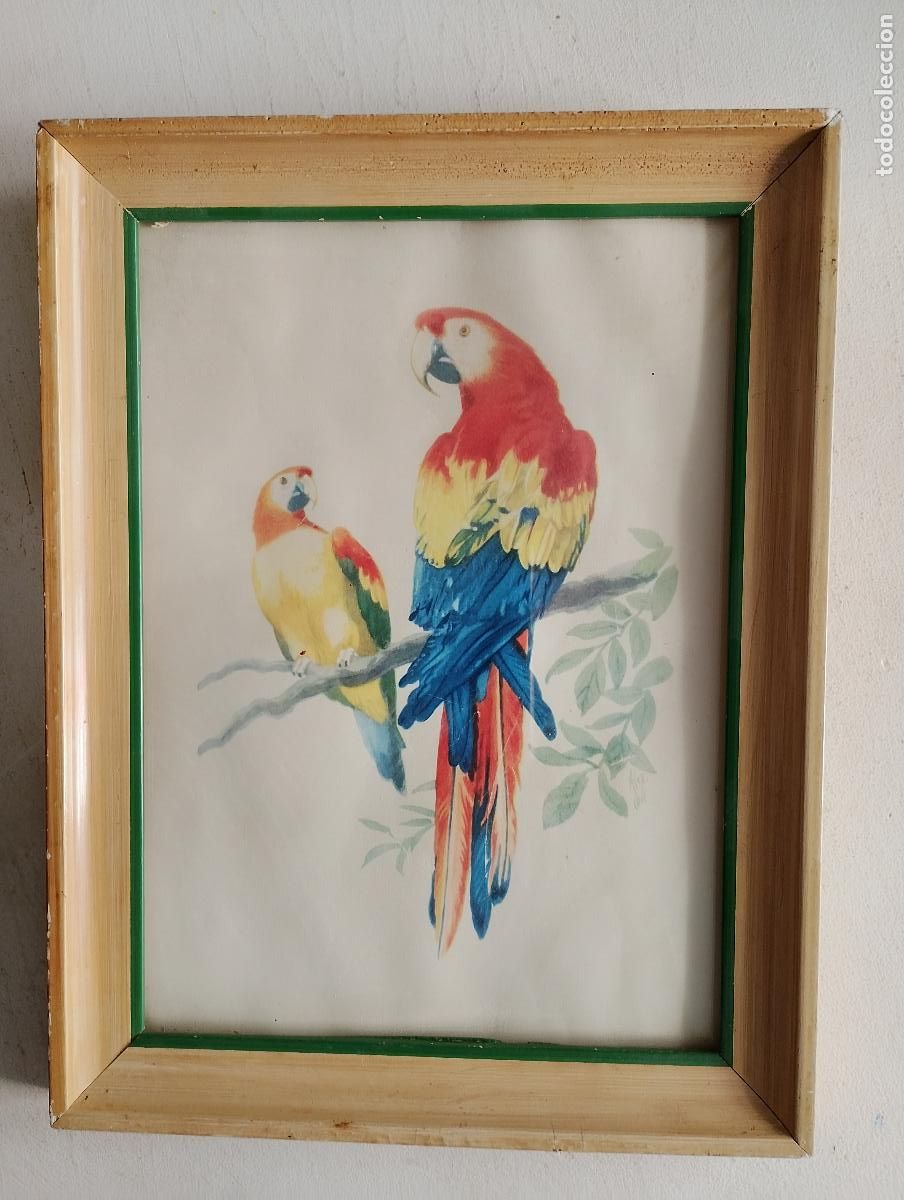Arte: cuadro con dibujo de loros, - Foto 2