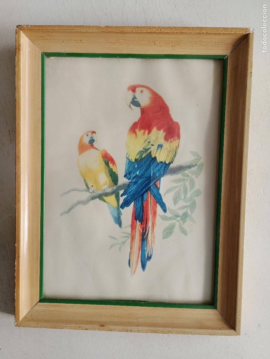 Arte: cuadro con dibujo de loros, - Foto 4