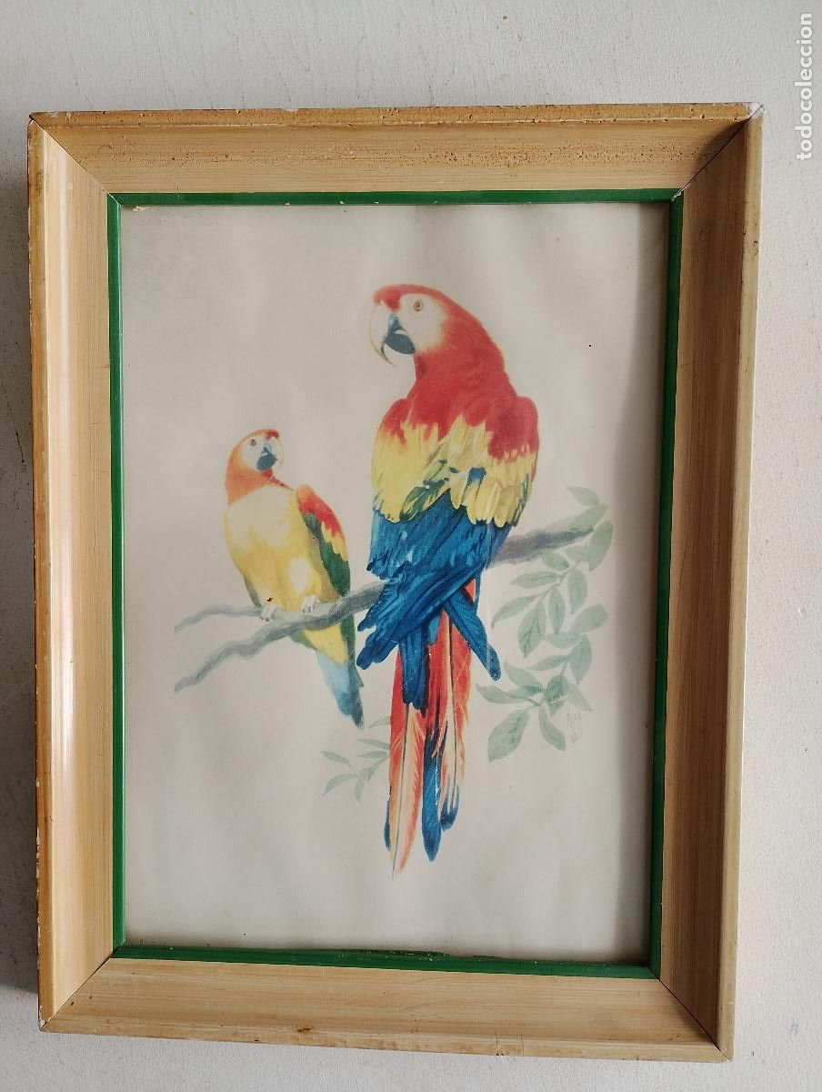 Arte: cuadro con dibujo de loros, - Foto 1