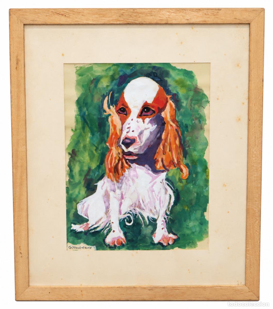Arte: GERMAINE NORDMANN (Par&iacute;s, 1902 &ndash; 1997) TECNICA MIXTA SOBRE PAPEL REPRESENTANDO UN COCKER SPANIEL