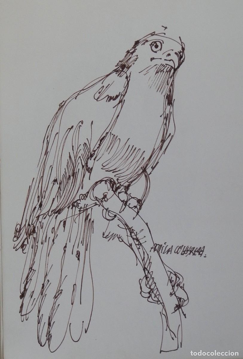 Arte: Carlos Enrique Lencinas G&oacute;mez. Tinta sobre papel. &rdquo;&Aacute;guila culebrera&rdquo;. Sin firmar. Esbozo, apunte.