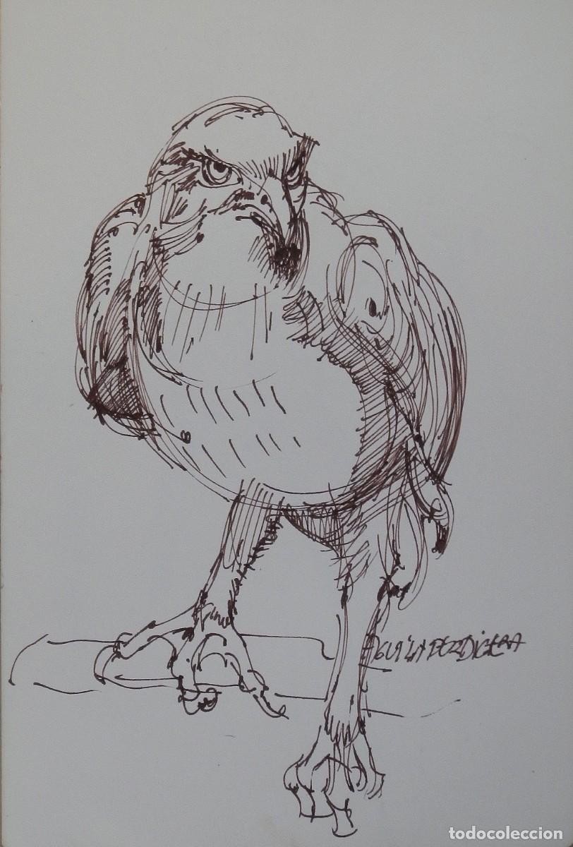 Arte: Carlos Enrique Lencinas G&oacute;mez. Tinta sobre papel. &rdquo;&Aacute;guila perdicera&rdquo;. Sin firmar. Esbozo, apunte.