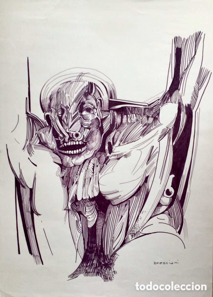 Arte: Dibujo original Bresciani Italia