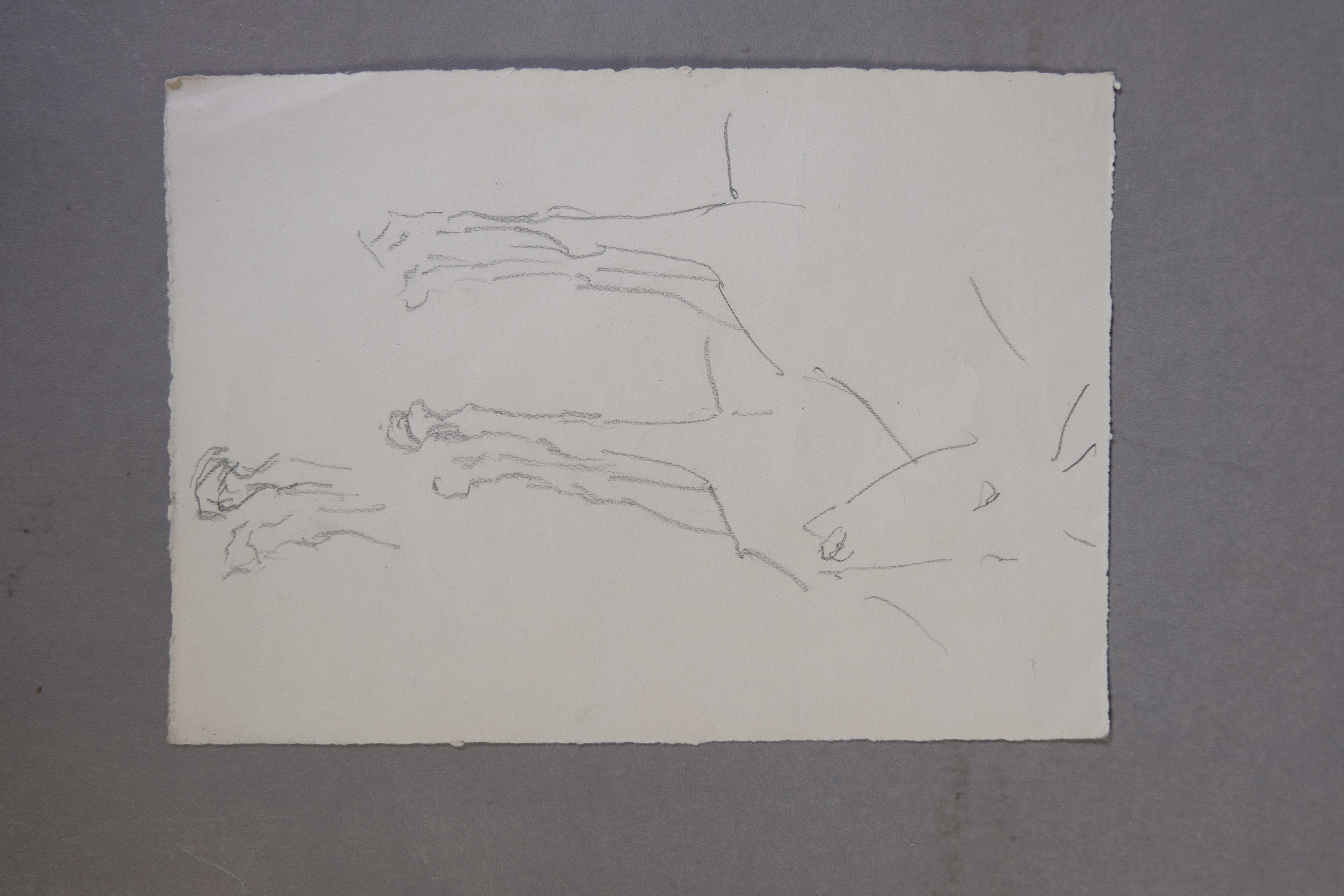 Arte: Dibujo a l&aacute;piz Estudio caballo